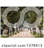 Historical People Strolling Through An Avenue Of Trees South Walk Dorchester England Royalty Free Stock Photography