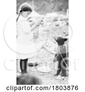 Historical Photograph Of A Girl Feeding A Donut To A Bear Cub In Alaska