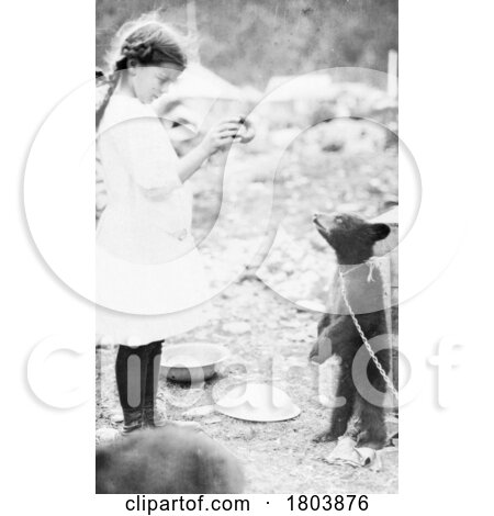 Historical Photograph of a Girl Feeding a Donut to a Bear Cub in Alaska by JVPD