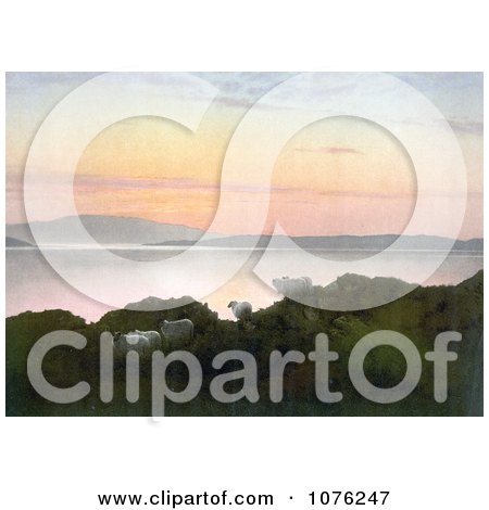 Historical Sheep on a Cliff Above a Lake at Sunset in England - Royalty Free Stock Photography  by JVPD
