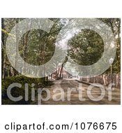 Historical The Tree Lined Upper Bognor Road In Bognor Regis England Royalty Free Stock Photography