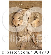Human Remains Free Stock Photography by JVPD