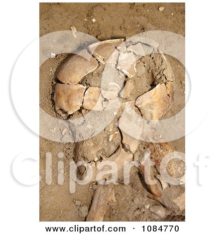 Human Remains - Free Stock Photography by JVPD