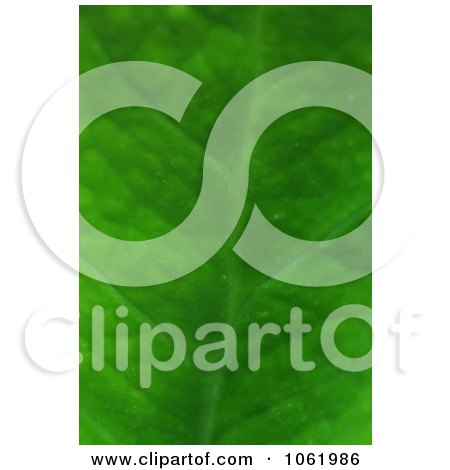 Macro Photo Of ZZ Plant Leaf - Royalty Free Stock Photography by Kenny G Adams