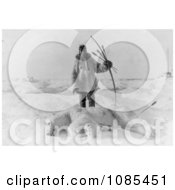 Male Eskimo Hunter Man With Bow And Arrows Standing Over A Killed Polar Bear Free Historical Stock Photography