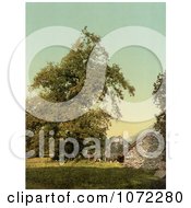 Photochrom Of A House In Giornico Switzerland Royalty Free Historical Stock Photography by JVPD