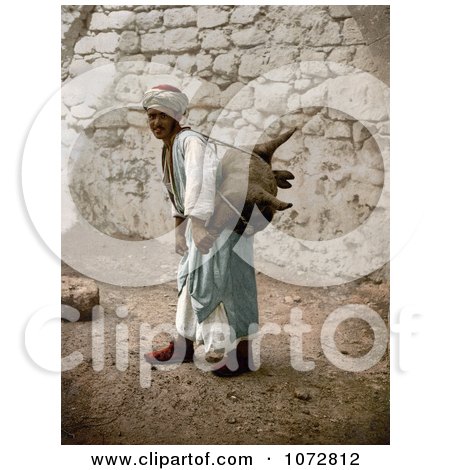 Photochrom of a Man Carrying an Animal Carcass on His Back, Jerusalem - Royalty Free Historical Stock Photography by JVPD
