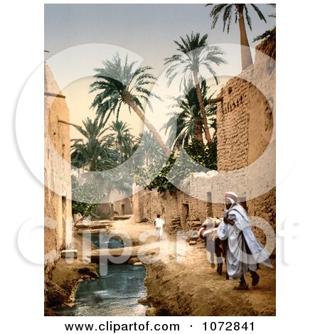 Photochrom of a Man, Mule and Boy in Biskra, Algeria - Royalty Free Historical Stock Photography by JVPD