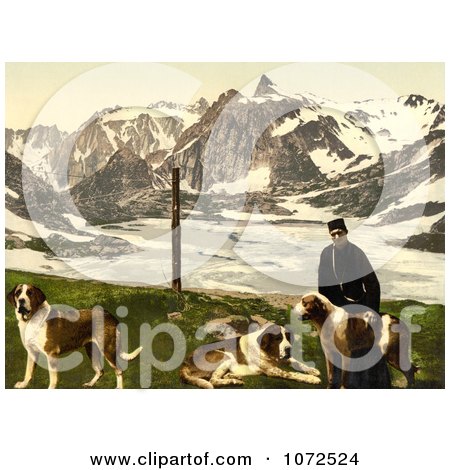 Photochrom of a Man with St Bernard Dogs - Royalty Free Historical Stock Photography by JVPD
