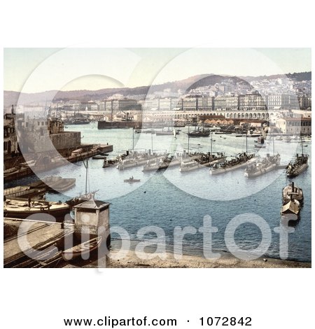 Photochrom of Boats in the Harbor, Algiers, Algeria - Royalty Free Historical Stock Photography by JVPD