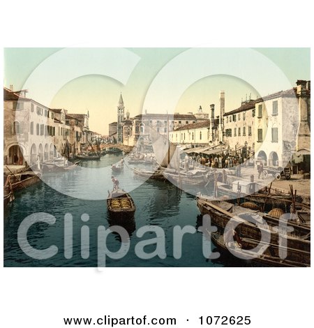 Photochrom of Chioggia, fish market, Venice, Italy - Royalty Free Historical Stock Photography by JVPD