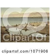 Photochrom Of Driftwood And Puddle On The Shore Of The Dead Sea Royalty Free Historical Stock Photo by JVPD