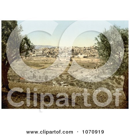 Photochrom of Jerusalem From the Mount of Olives - Royalty Free Historical Stock Photo by JVPD