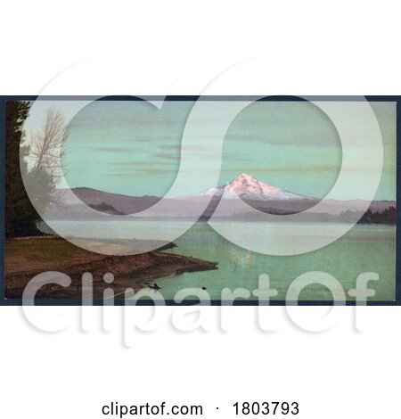 Photochrom of Mount Hood from the Columbia River Oregon 1901 - Royalty Free Historical Stock Photography by JVPD