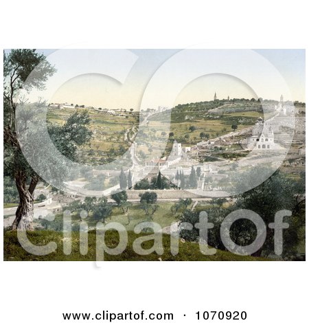 Photochrom of Mount Olivet and Garden of Gethsemane - Royalty Free Historical Stock Photo by JVPD