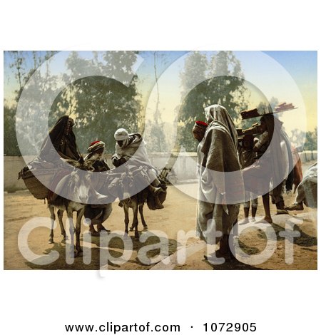 Photochrom of People With Pack Mules at Bab Aleona, Tunis, Tunisia - Royalty Free Historical Stock Photography by JVPD