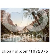 Photochrom Of The River In El Cantara Algeria Royalty Free Historical Stock Photography