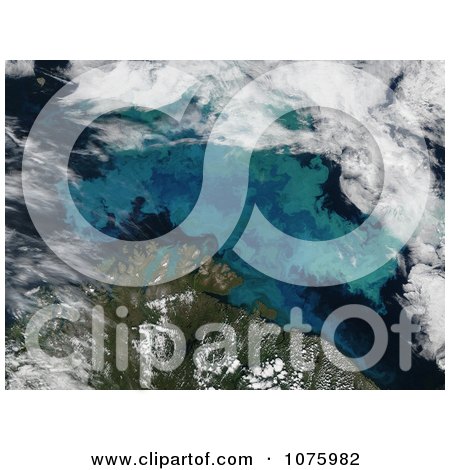 Phytoplankton Bloom In The The Barents Sea On August 14 2011 - Royalty Free Stock Photography  by JVPD