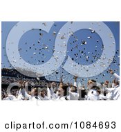 Sailors Throwing Hats At A Graduation Ceremony Free Stock Photography