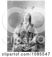 Sioux Indian Chief Yellow Hair Free Historical Stock Photography