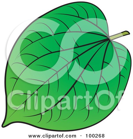 Royalty-Free (RF) Clipart Illustration of a Lush Green Leaf With Thick Veins by Lal Perera