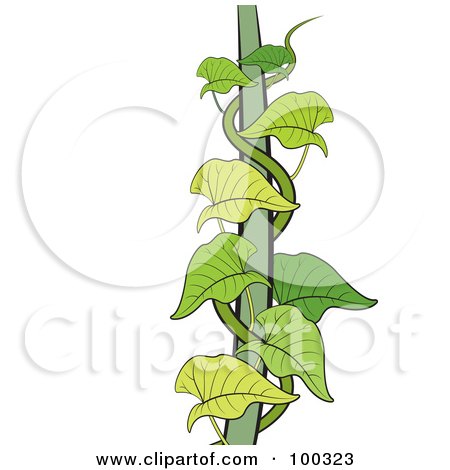 Royalty-Free (RF) Clipart Illustration of a Green Creeper Vine by Lal Perera