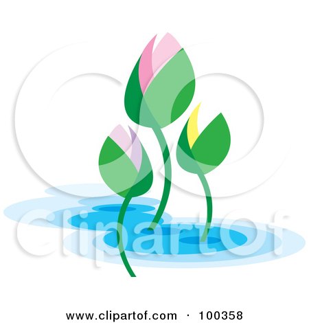 Royalty-Free (RF) Clipart Illustration of Colorful Lotus Buds by Lal Perera