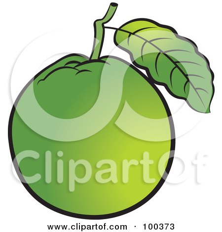 Royalty-Free (RF) Clipart Illustration of a Green Guava by Lal Perera