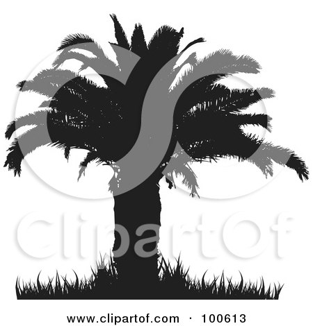 Royalty-Free (RF) Clipart Illustration of a Silhouetted Palm Tree With A Thick Trunk And Foliage And Grass by KJ Pargeter