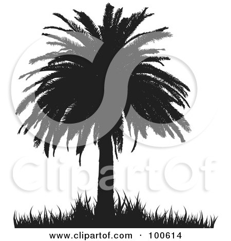 Royalty-Free (RF) Clipart Illustration of a Silhouetted Palm Tree With Thick Foliage And Grass by KJ Pargeter