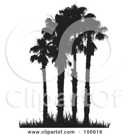 Royalty-Free (RF) Clipart Illustration of Four Tall Silhouetted Palm Trees And Grass by KJ Pargeter