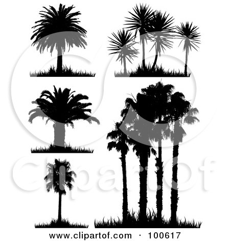 Royalty-Free (RF) Clipart Illustration of a Digital Collage Of Five Silhouetted Palm Tree Scenes With Grass by KJ Pargeter