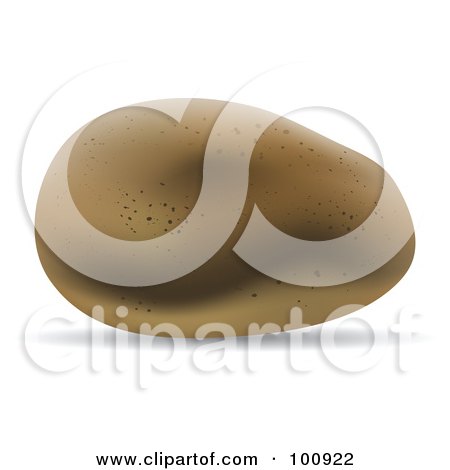 Royalty-Free (RF) Clipart Illustration of a 3d Realistic Russet Potato by cidepix