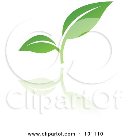 112 Leaf Logo Examples