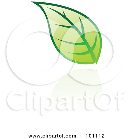 Royalty-Free (RF) Clipart Illustration of a Green Leaf Logo Icon - 8 by cidepix