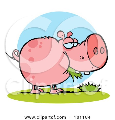 Royalty-Free (RF) Clipart Illustration of a Chubby Pink Pig Snacking On Grass by Hit Toon