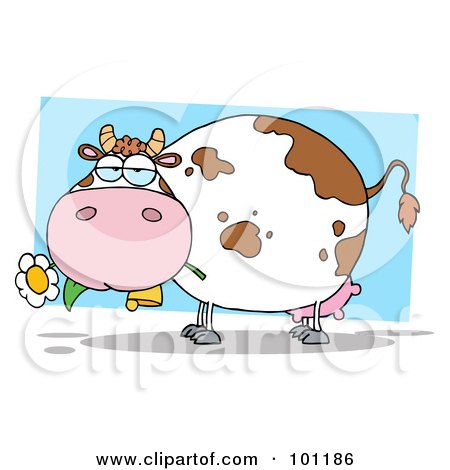 Royalty-Free (RF) Clipart Illustration of a Chubby Dairy Cow Chewing On A Flower by Hit Toon