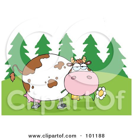 Royalty-Free (RF) Clipart Illustration of a Fat Cow Eating Flowers Near Woods by Hit Toon