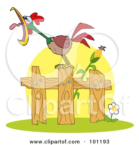 Royalty-Free (RF) Clipart Illustration of a Loud Rooster On A Wood Fence By A Corn Stalk by Hit Toon