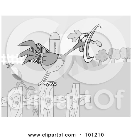Royalty-Free (RF) Clipart Illustration of a Grayscale Rooster Crowing On A Fence At The Edge Of A Pasture by Hit Toon