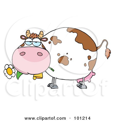 Royalty-Free (RF) Clipart Illustration of a Chubby Dairy Cow Snacking On A Flower by Hit Toon