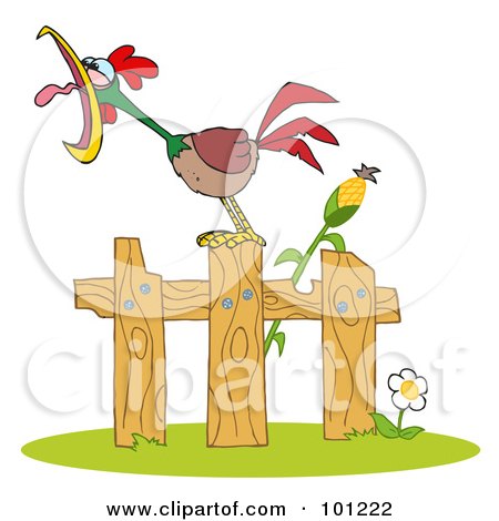 Royalty-Free (RF) Clipart Illustration of a Loud Rooster Crowing On A Wood Fence By A Corn Stalk by Hit Toon