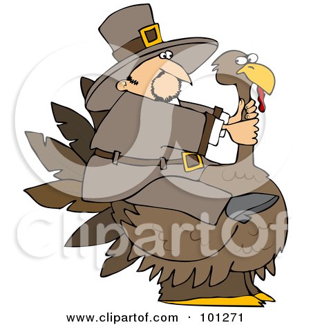 Royalty-Free (RF) Clipart Illustration of a Thanksgiving Pilgrim Trying To Ride A Huge Turkey by djart
