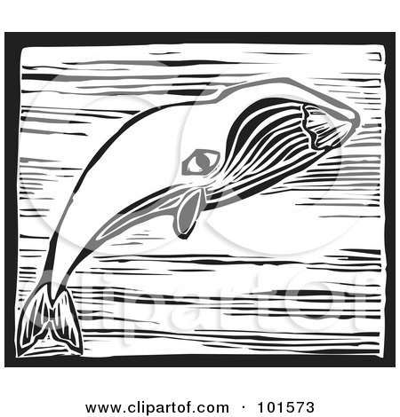 Royalty-Free (RF) Clipart Illustration of a Black And White Engraved Bowhead Whale (Balaena mysticetus) by xunantunich