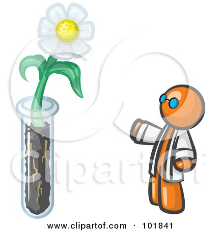 Royalty-Free (RF) Clipart Illustration of an Orange Man Scientist By A Giant White Daisy Flower In A Test Tube by Leo Blanchette