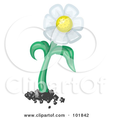 Royalty-Free (RF) Clipart Illustration of a Perfect White Daisy Flower With A Thick Stem And Dirt by Leo Blanchette