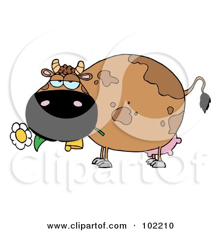 Royalty-Free (RF) Clipart Illustration of a Chubby Brown Cow Eating A Daisy Flower by Hit Toon