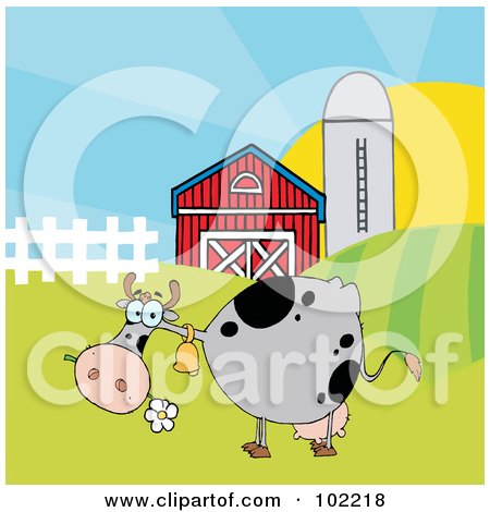 Royalty-Free (RF) Clipart Illustration of a Spotted Gray Cow Eating A Daisy Near A Barn And Silo by Hit Toon