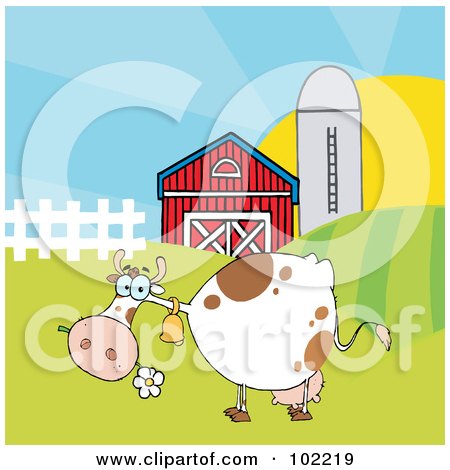 Royalty-Free (RF) Clipart Illustration of a Spotted White Cow Eating A Daisy Near A Barn And Silo by Hit Toon