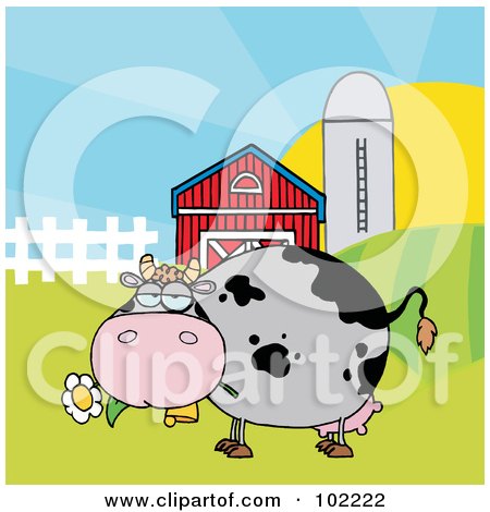 Royalty-Free (RF) Clipart Illustration of a Chubby Gray Cow Eating A Daisy By A Silo And Barn by Hit Toon